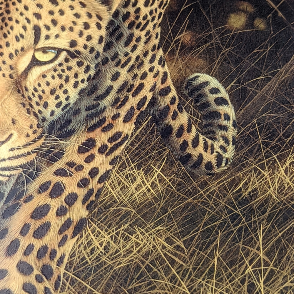 Andrew Bone NWOT African Mystique leopard art print brown black signed - Picture 4 of 9